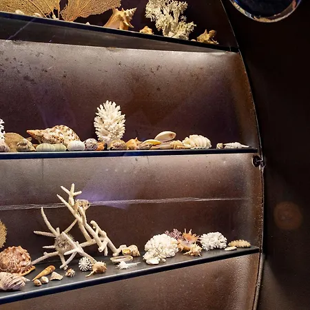 Insolite, Ambiance Steampunk - 2 Pers. *